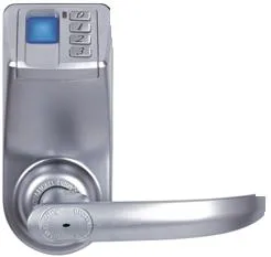 Electronic Locks