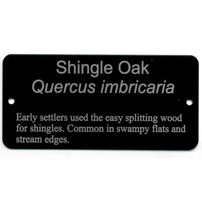 Tree Labels