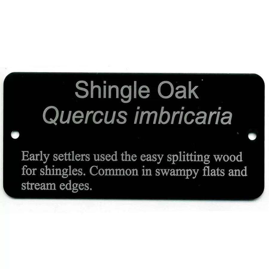 Tree Labels
