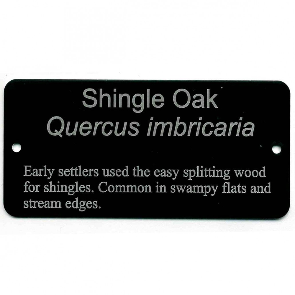 Tree Labels